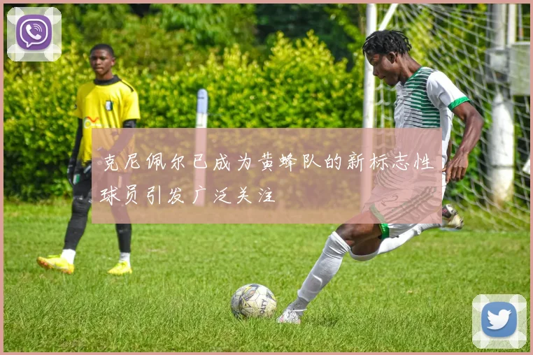 克尼佩尔已成为黄蜂队的新标志性球员引发广泛关注