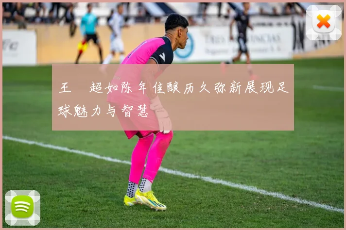 王燊超如陈年佳酿历久弥新展现足球魅力与智慧