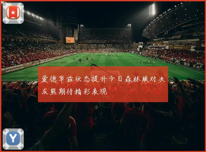 爱德华兹状态提升今日森林狼对决灰熊期待精彩表现