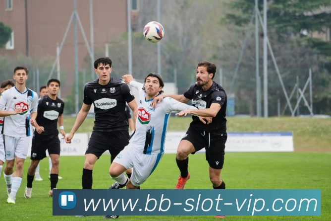 贝博平台平台生态图